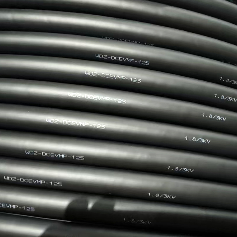 WDZ-DCEVMP-125 120mm2 1.8-3KV汽車專用電纜